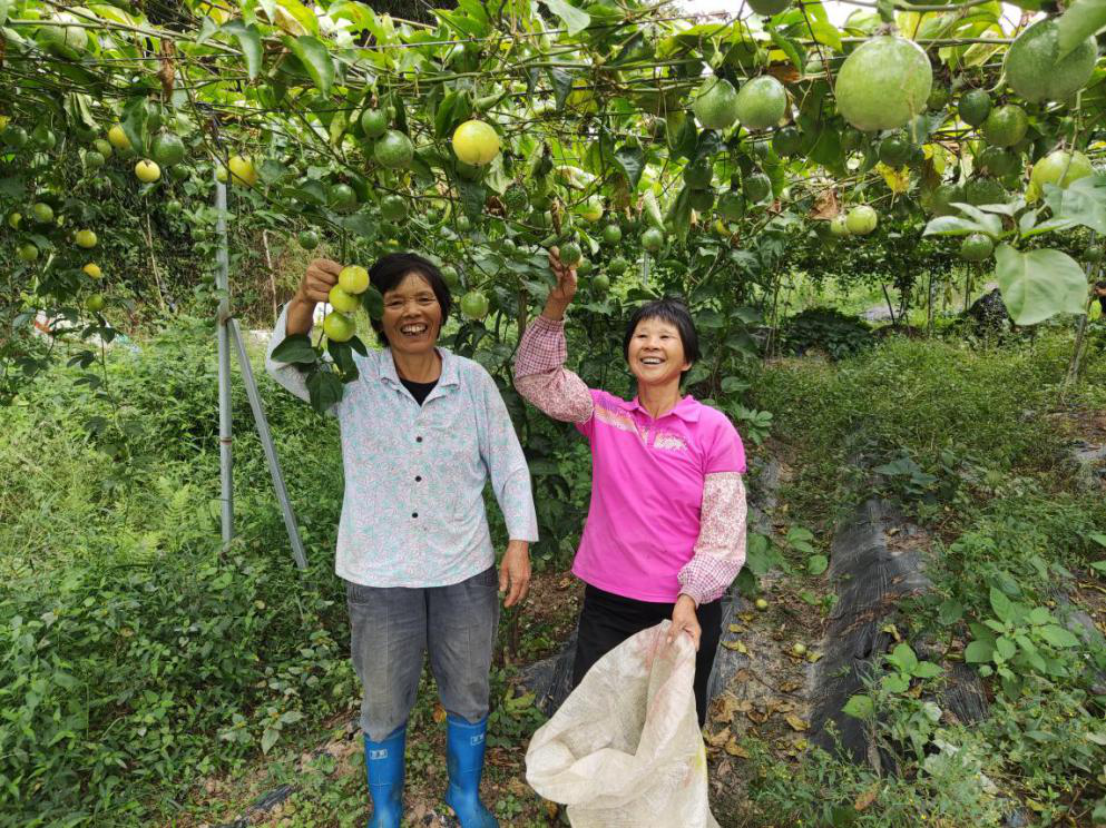 用心扶贫 用行济困 | 瓜子tv
党委助力消费扶贫工作